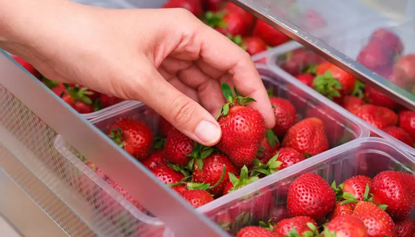 Hand wählt eine saftige Erdbeere aus einer Plastikschale. So lagert man Erdbeeren am besten, um sie frisch zu halten.