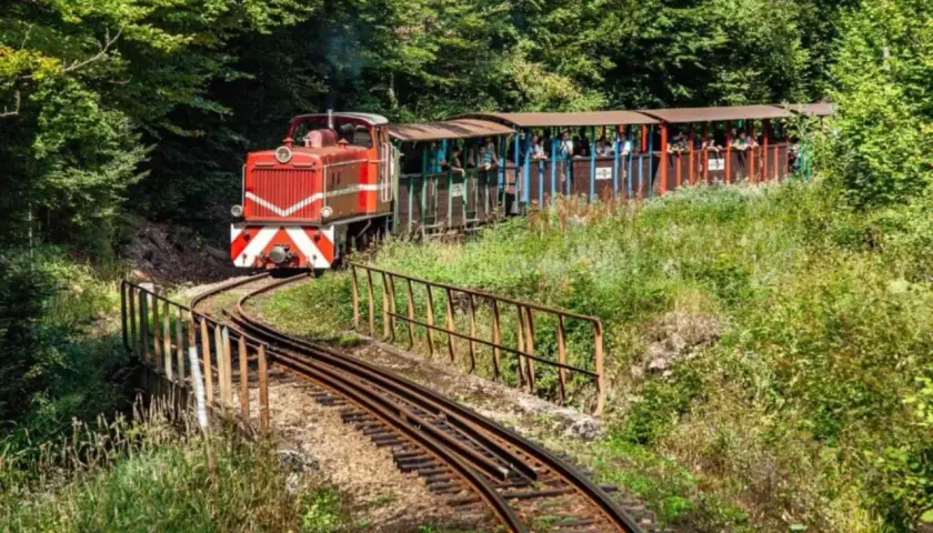 Czerwona lokomotywa z wagonami pełnymi turystów jedzie po krętej trasie. Kolejka bieszczadzka przemierza malownicze tereny, a która trasa ciekawsza, to już kwestia gustu!