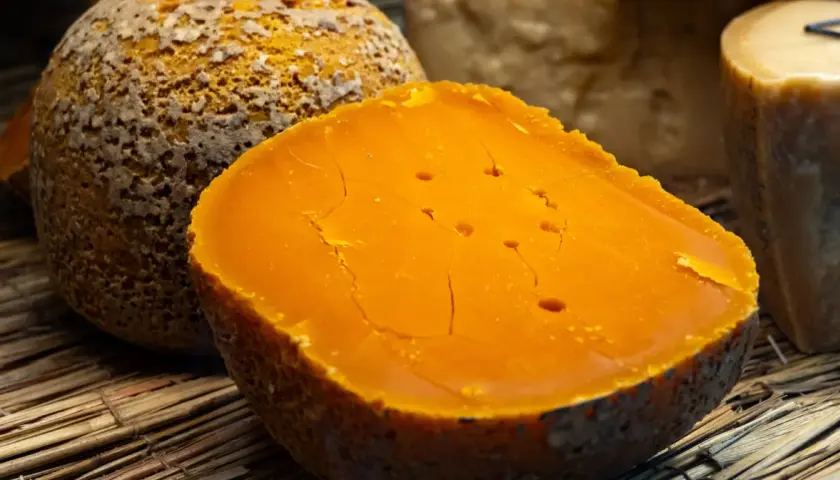 Pomarańczowy ser di bufala z widocznymi pęknięciami i dziurkami, leżący na słomie obok innych serów.