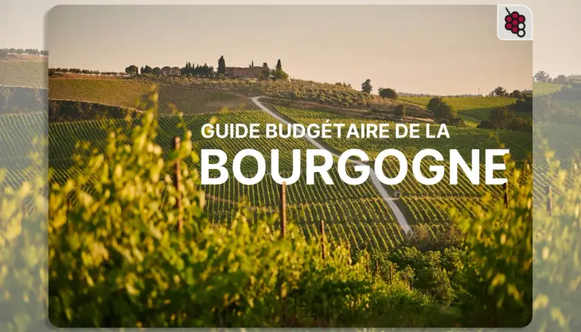 Paysage de vignobles en Bourgogne, idéal pour trouver quel vin rouge bourguignon choisir.