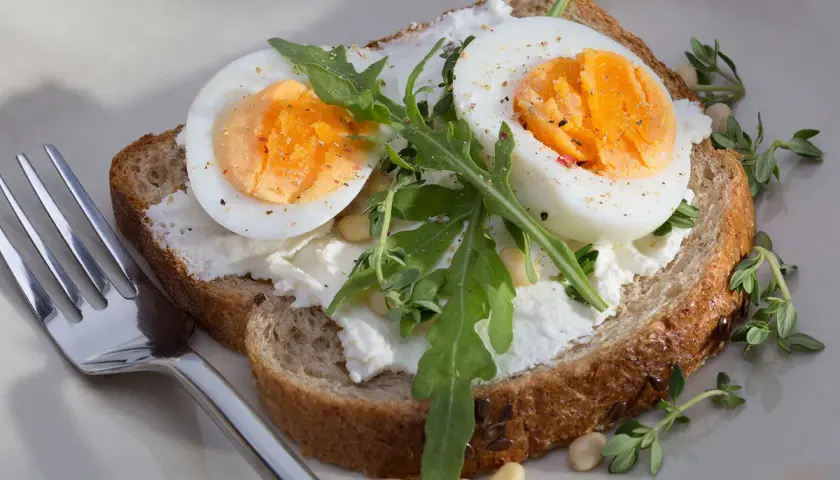 Tartine avec œuf dur conservation température ambiante, fromage frais, roquette et herbes. Une fourchette est à côté.