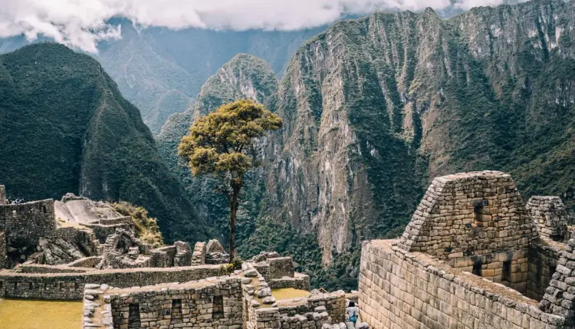 Die Ruinen von Machu Picchu, umgeben von steilen, grünen Bergen. Eine einsame Baumkrone ragt über die alten Steine. Ein unvergessliches Erlebnis auf meiner Machu Picchu Reise.