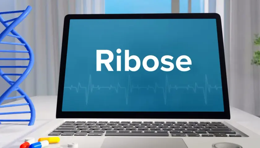Ein Laptop zeigt "Ribose" an, daneben eine DNA-Helix und Pillen. Ribose ist ein wichtiger Zucker für das Leben.