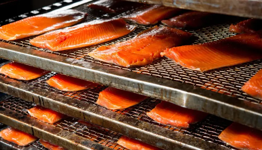 Filets de saumon orangés disposés sur des grilles métalliques, prêts pour un fumage à froid.