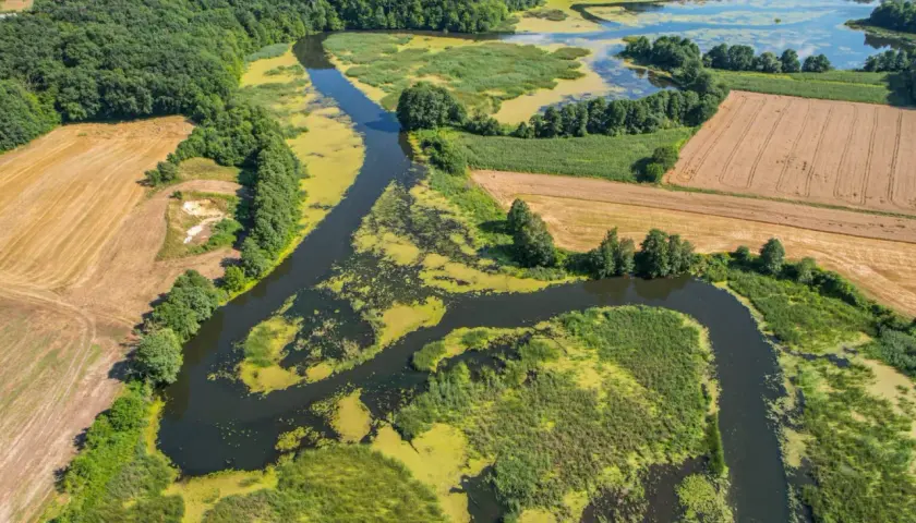 Malowniczy krajobraz w okolicach Bodzanowa: meandrująca rzeka, jezioro, lasy i pola uprawne.