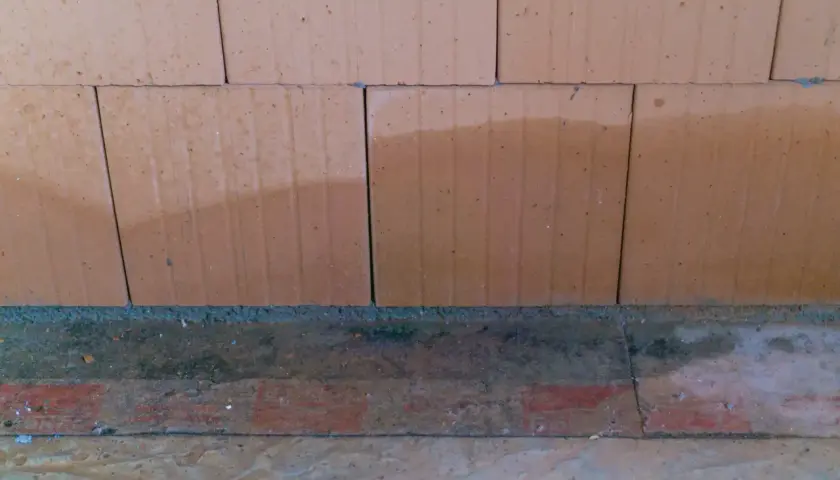 Feuchte Ziegelwand im Altbau, deutliche aufsteigende Feuchtigkeit an der Bodenplatte sichtbar.