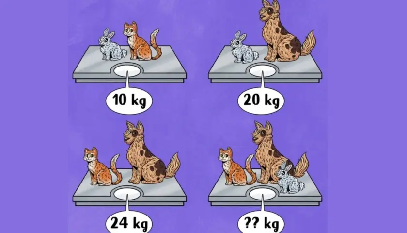 Królik i kot ważą 10 kg. Pies i królik 20 kg. Kot i pies 24 kg. Ile powinien ważyć kot? Obliczamy, ile waży kot.