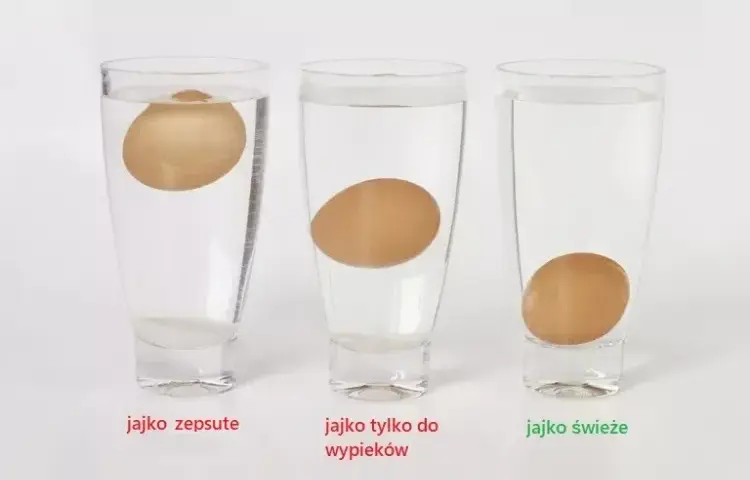 Jak sprawdzić świeżość jajek? Najskuteczniejsze metody