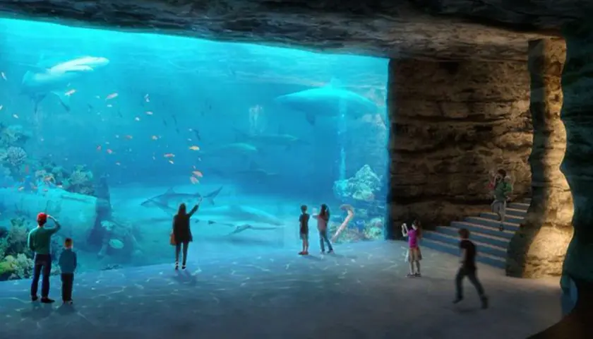 Oceanarium Łódź: Niezapomniane atrakcje i podwodne przeżycia