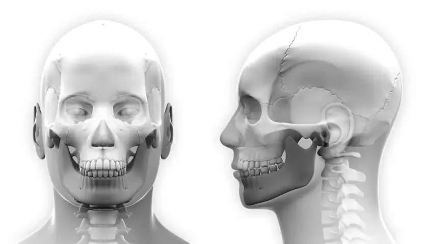Anatomia czaszki z widokiem z przodu i z boku, uwzględniająca staw skroniowo-żuchwowy, kluczowy dla zastrzyków w staw skroniowo-żuchwowy.