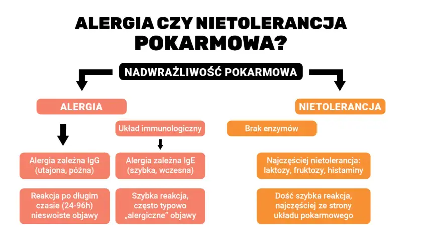 Schemat porównujący alergię i nietolerancję pokarmową, wyjaśniający mechanizmy i objawy reakcji na pokarmy, w tym potencjalne alergeny.