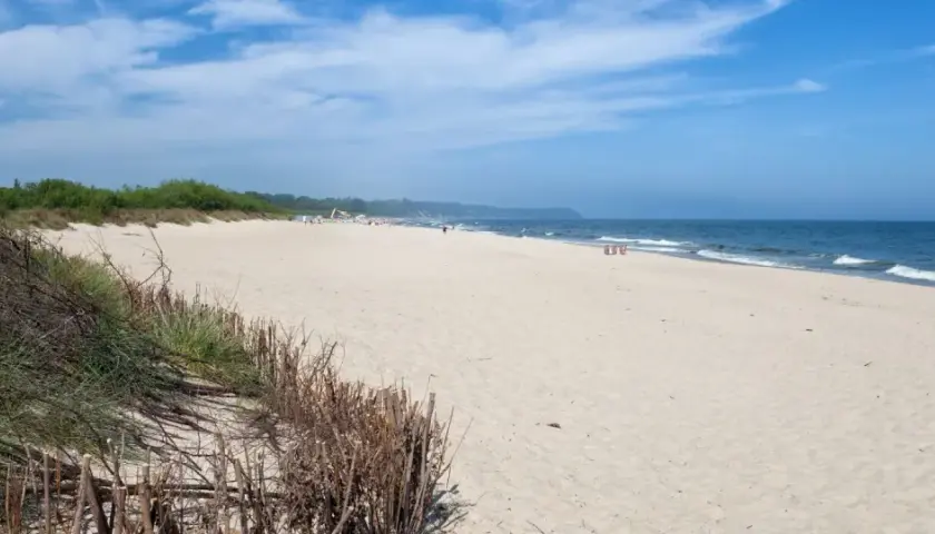 Piękna, piaszczysta plaża w Władysławowie, z zielenią wydm i błękitnym morzem. Idealne miejsce na wypoczynek.