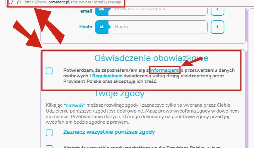 Provident sprawdza BIK? Dowiedz się, jakie masz szanse