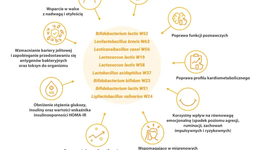 Sanprobi probiotyk wspiera walkę z nadwagą, wzmacnia barierę jelitową i poprawia funkcje poznawcze.