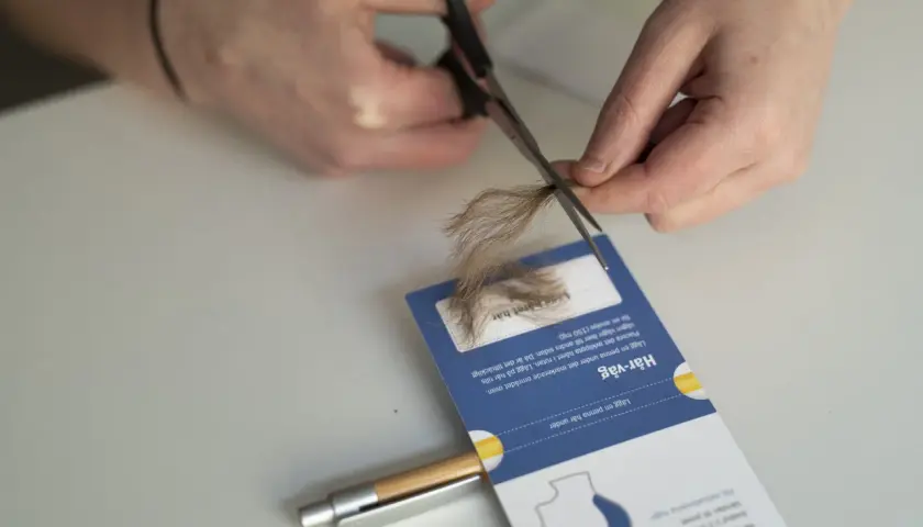 Hårprov tas för analys, men det kan vara en bluff. En penna används för att mäta hårets vikt.