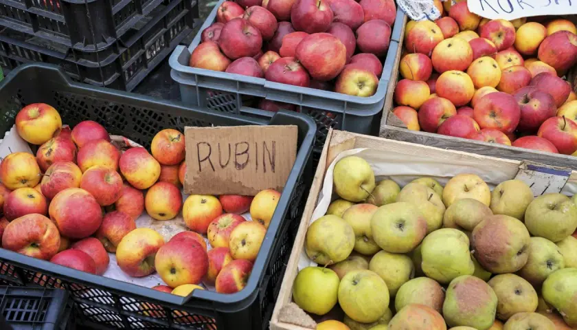 Skrzynki pełne jabłek, w tym odmiany Rubin, idealne na aromatyczną szarlotkę.
