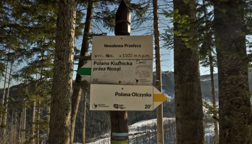 Rozdroże na Nosalowej Przełęczy (1103 m n.p.m.). Szlak na Nosal prowadzi przez Polanę Kuźnicką (55 min) lub Polanę Olczyską (20 min).
