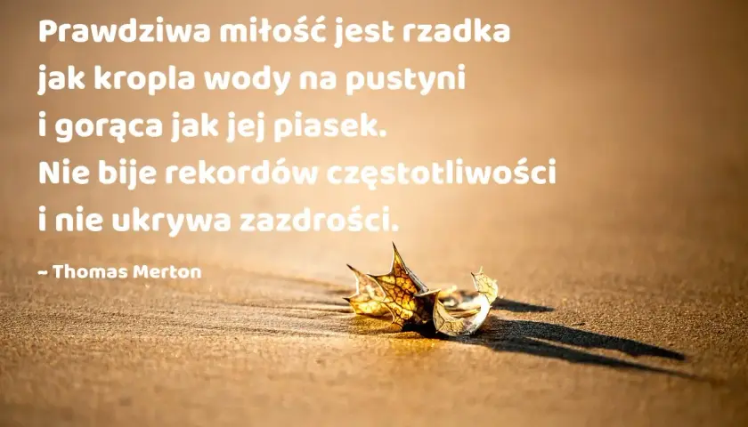 Prawdziwa miłość jest rzadka jak kropla wody na pustyni, gorąca jak piasek. Cytaty o miłości Thomasa Mertona przypominają o jej unikalności.