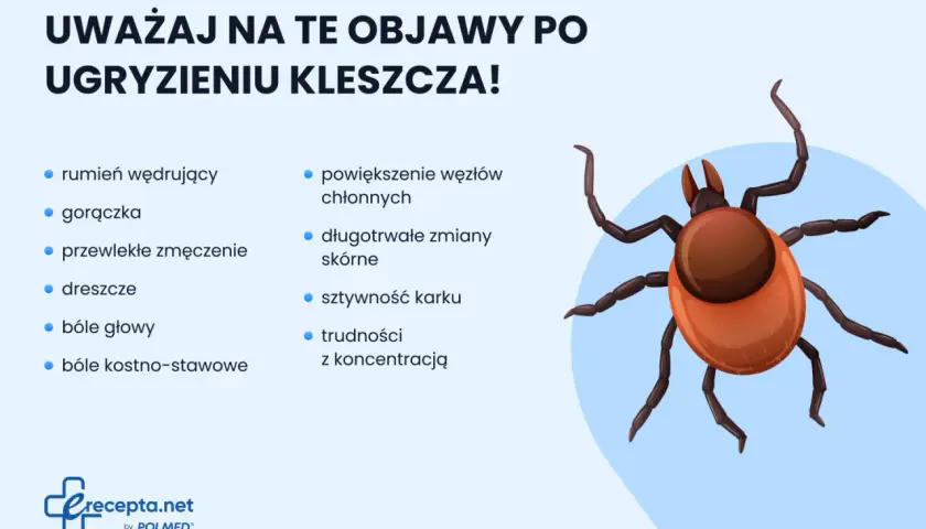Kleszcz: Jak usunąć bezpiecznie i uniknąć boreliozy? Poradnik