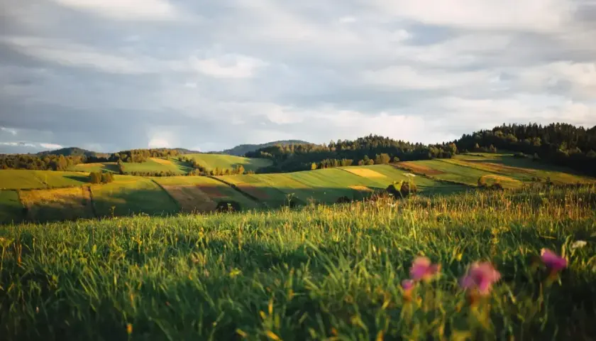 Zielone wzgórza i pola uprawne oświetlone słońcem, z lasem w tle. Idealne miejsce, by zastanowić się, gdzie najbliżej w góry.