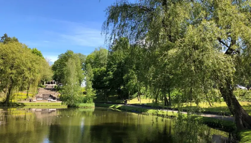 Spokojny staw w pradolinie Redy Łeby, otoczony bujną zielenią drzew i słonecznym niebem.