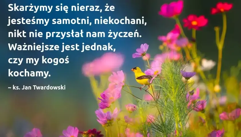 Żółty ptak siedzi na gałęzi wśród kwitnących, różowych i fioletowych kwiatów.