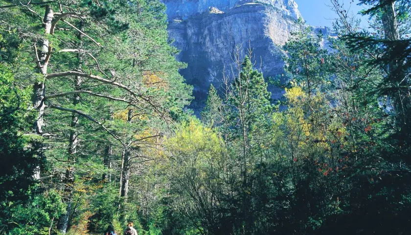 Two hikers enjoy a scenic walk in Spain, surrounded by lush trees and a majestic mountain backdrop.