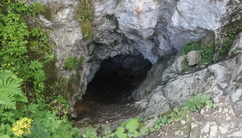 Wejście do Smoczej Jamy w Tatrach, skalne urwisko porośnięte zielenią, z widoczną łańcuchem ułatwiającym zejście.