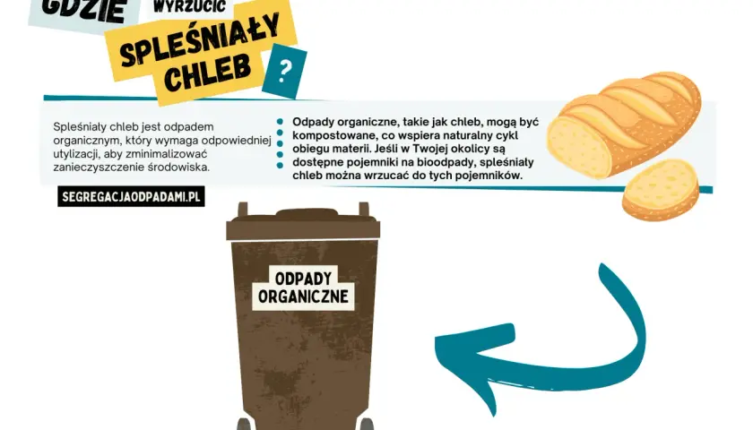 Spleśniały chleb to odpad organiczny. Gdzie wyrzucić spleśniały chleb? Do brązowego pojemnika na odpady organiczne, wspierając naturalny cykl.