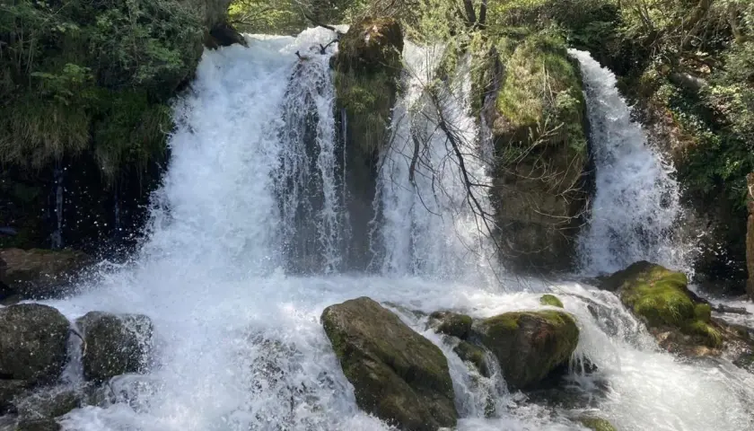 Cascada con agua espumosa cayendo sobre rocas cubiertas de musgo, como un bullidor de la llet en la naturaleza.