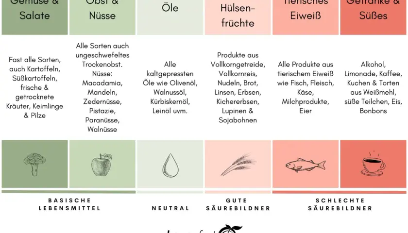 Übersicht über basische, neutrale und säurebildende Lebensmittel für eine Detox-Ernährung. Die Detox-Lebensmittel Tabelle zeigt Gemüse, Obst, Nüsse, Öle, Getreide, Hülsenfrüchte, tierisches Eiweiß und Süßes.
