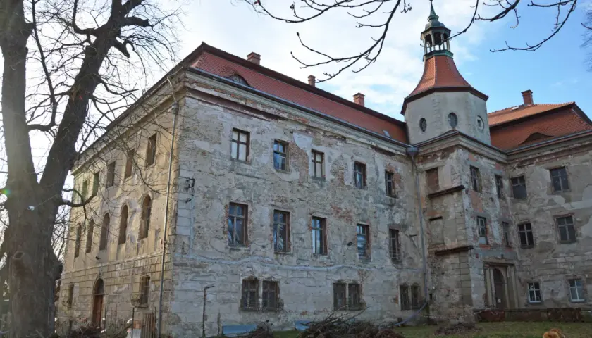 Zamek w Domanicach, zniszczony, z wieżą i czerwonym dachem, stoi na tle błękitnego nieba.