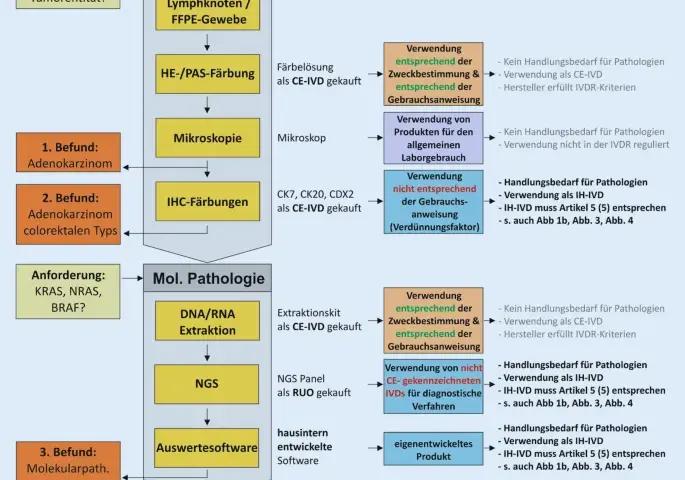 In vitro Diagnostik: Wichtige Informationen zu Tests und Vorschriften