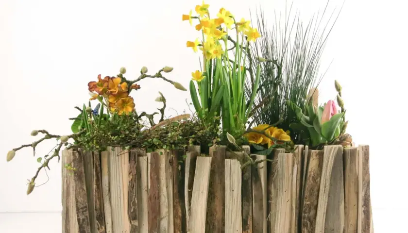 Ein rustikaler Blumenkasten, selbst gebaut aus Holzstücken, gefüllt mit gelben Narzissen, orangefarbenen Primeln und einer rosa Tulpe.