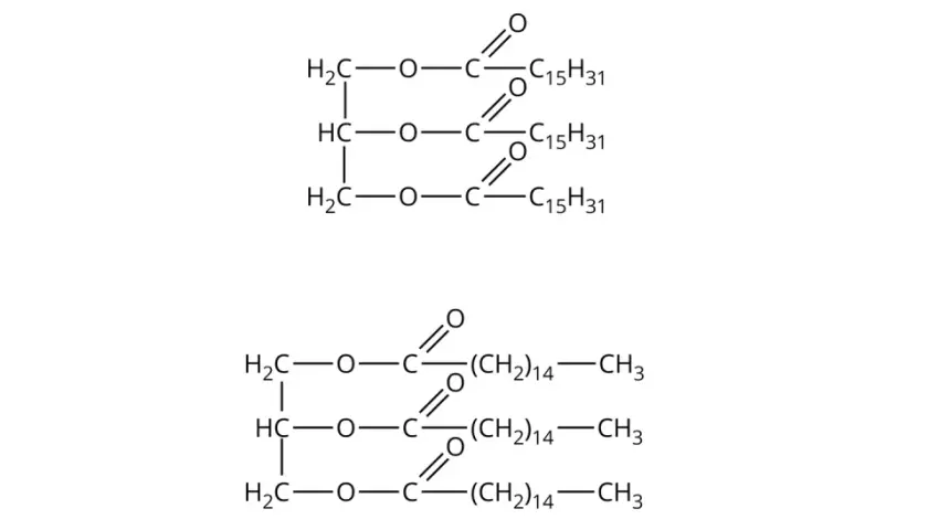 Struktury chemiczne: tristearynian glicerolu i tripalmitynian glicerolu.