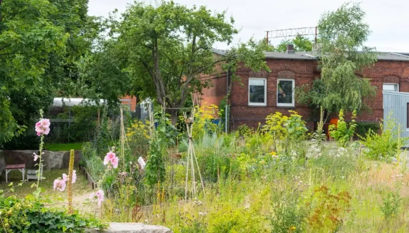 Un giardino rigoglioso e selvaggio, dove si può lasciare un terreno incolto per far prosperare fiori e piante spontanee, con una casa in mattoni sullo sfondo.