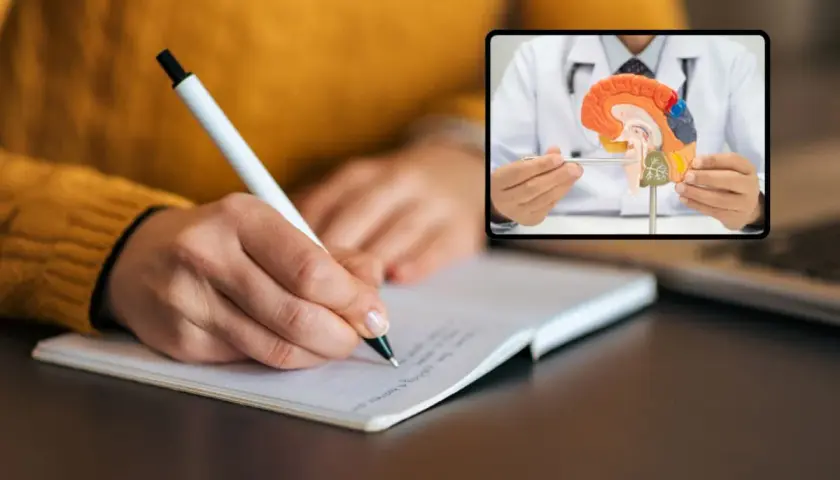 Escribir a mano estimula el cerebro, como muestra este médico con un modelo cerebral. Descubre las ventajas de escribir a mano.
