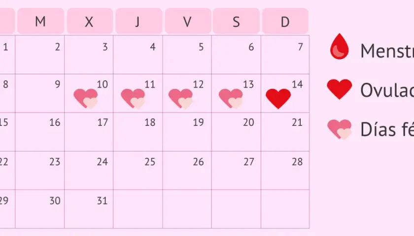 Calendario muestra menstruación (gota roja), ovulación (corazón rojo) el día 14, y días fértiles (corazones rosas) del 10 al 15.