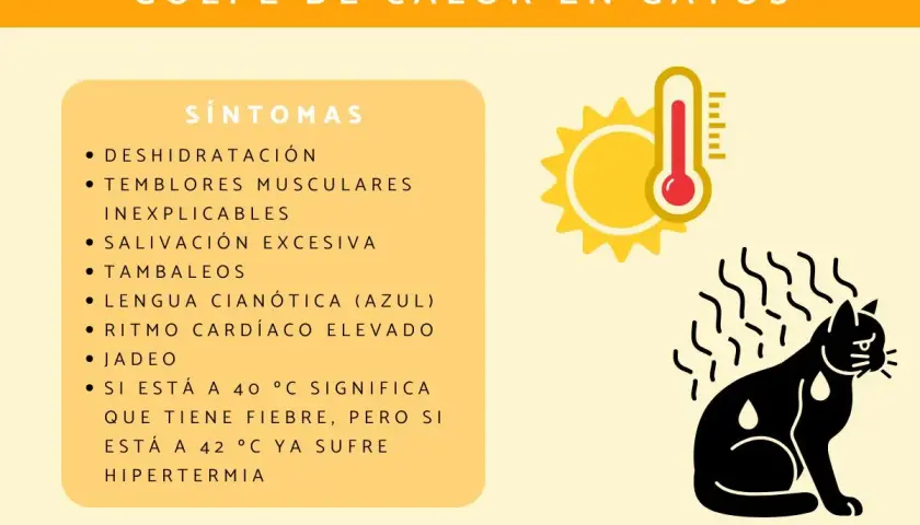 Ilustración sobre el golpe de calor en gatos, mostrando síntomas como jadeo y deshidratación. El sol y un termómetro indican altas temperaturas.