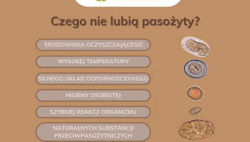 Skuteczne metody odrobaczania: co na odrobaczanie organizmu?