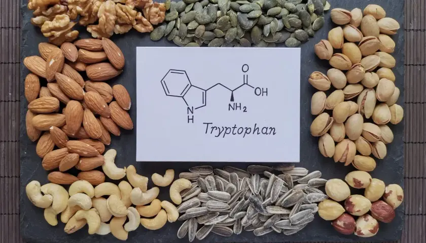 Nüsse und Samen wie Mandeln, Cashews, Walnüsse, Kürbiskerne, Sonnenblumenkerne, Pistazien und Haselnüsse umrahmen eine chemische Formel und das Wort "Tryptophan". Diese Lebensmittel sind gute Quellen für Tryptophan.
