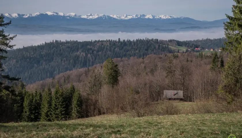Widok na mglistą dolinę i ośnieżone gorce szczyty w oddali. Na pierwszym planie las i drewniana szopa.