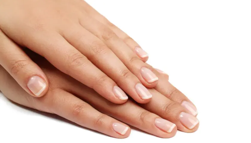 Eleganckie dłonie z klasycznym french manicure. Dowiedz się, jak zrobić french zwykłym lakierem, by uzyskać taki efekt.