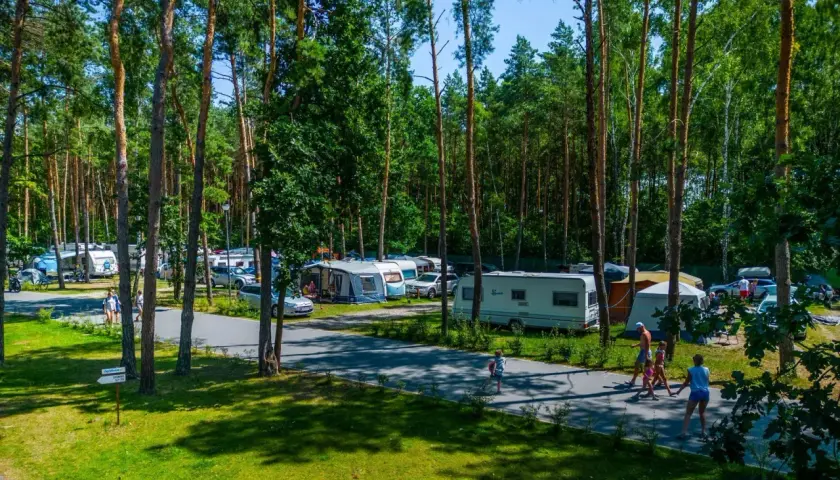 Ośrodek wypoczynkowy Zagłębocze tętni życiem. Kemping pełen przyczep, kamperów i namiotów, wśród sosen. Rodziny spacerują pośród zieleni.