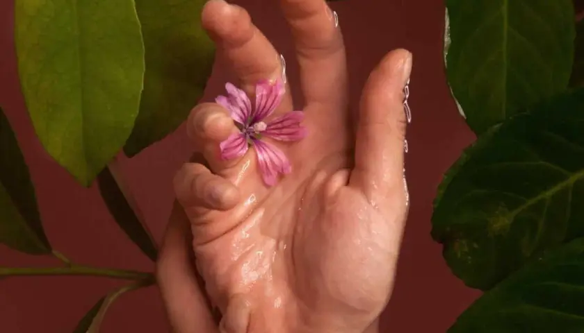 Main délicate tenant une fleur rose, entourée de feuilles vertes. Une image évoquant la sérénité et les bienfaits du Jin Shin Jyutsu.