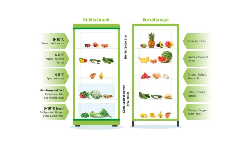 Sommerliche Vielfalt: Kühlschrank und Vorratsregal zeigen, wie Obst und Gemüse optimal gelagert werden.