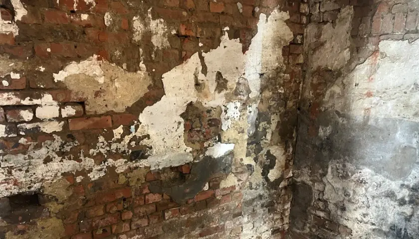 Abblätternder Putz an einer Ziegelwand im Keller. Die Feuchtigkeit deutet auf dringenden Bedarf an einer Kellerabdichtung hin, um die Kosten für weitere Schäden zu minimieren.