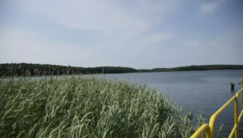 Jezioro Wilkowskie: piękne miejsce na relaks i udane wędkowanie