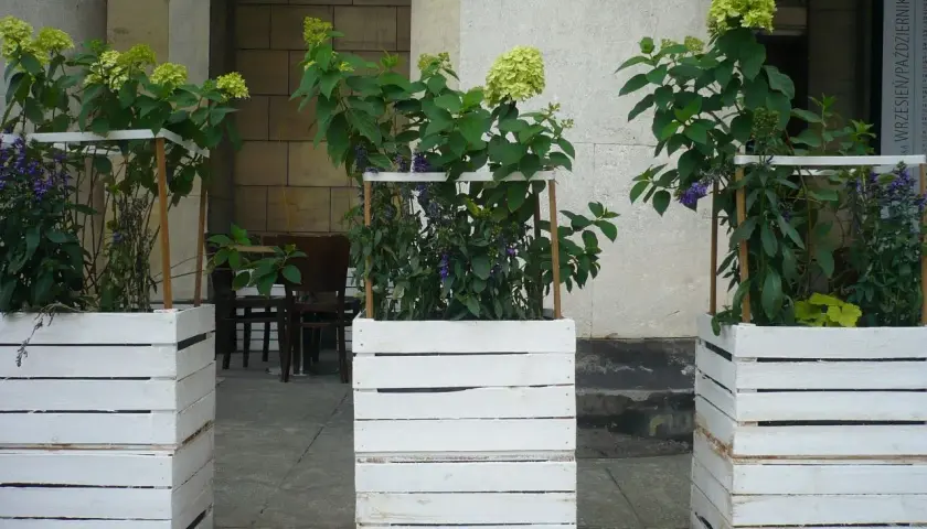 Kwietnik ze skrzynki po jabłkach: DIY krok po kroku inspiracje