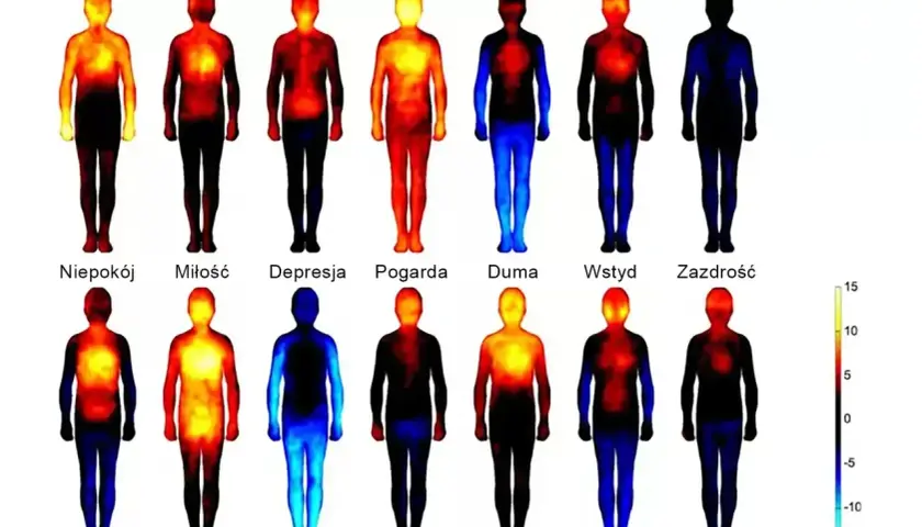 Sylwetki ludzi z kolorowymi mapami cieplnymi, ilustrujące różne emocje: złość, strach, wstręt, szczęście, smutek, zaskoczenie, neutralność, niepokój, miłość, depresja, pogarda, duma, wstyd, zazdrość.